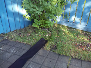 Direct rain water to where you want it